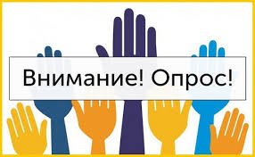 заработать на опросах