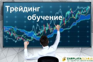 Трейдинг обучение для начинающих бесплатно